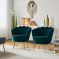 HULALA HOME Modern Velvet Accent Chairs Set of 2 by HULALAHOME