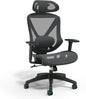 Staples Dexley Ergonomic Task Chair, Lumbar Support, Adjustable Height by Staples