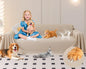 Loiion Cat Scratch Furniture Protector by Loiion