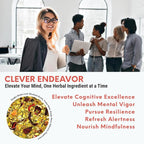Pure And Easy Tea, Clever Endeavor, Natural Focus & Mental Clarity Tea, Caffeinated Loose Leaf Blend with Ginkgo Biloba & Yerba Mate, 30-Day Supply, 100g