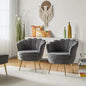 HULALA HOME Modern Velvet Accent Chairs Set of 2 by HULALAHOME