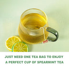 TEARELAE - Spearmint Tea - 1.5g x 50 Count - 100% Pure Spearmint Leaves - Non-GMO - Naturally Caffeine-free Herbal Tea - Support Digestion & Natural Breath Freshener