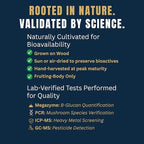 Monkey Brew Original - USDA Organic Mushroom Tea Drink - Non-Caffeinated Mushroom Coffee Alternative with Cacao Powder, Lion's Mane, Turkey Tail, Ashwagandha, Turmeric - Boosts Energy Focus & Immunity