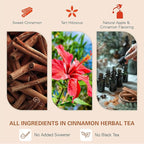 WT WEETEE Apple Cinnamon Herbal Tea Bags, 60 Count, Perfect Blend of Sweet Cinnamon, Tart Hibiscus, Natural Flavoring, Caffeine-Free