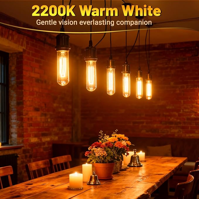 T10 Tubular Light Bulbs 60 Watt Incandescent Light Bulb, T10 Bulb, 120V 60W - Image 4