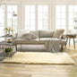 Ashler faux fur rug, Fluffy Shaggy Area Rug Ultra Soft 2.2 x 6 Feet Rectangle by AshlerHomeDeco