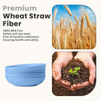 Homienly Wheat Straw Big Bowls Salad Bowls Set of 6 10 inch Serving Bowls 65 oz Large Bowls Plastic Plates Bowls Wide and Shallow Bowls for Kitchen Microwave & Dishwasher Safe-Sky Blue