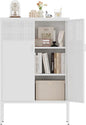 Metal Storage Cabinet, 2 Door TV Stand, Metal Mesh Accent Cabinet, Magnetic by XIUSVON