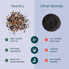 Teaniru, Novelty Tea Gift Box - 1 Carton (Box of 20) | Assorted Loose Leaf Tea Sampler Gift - 3 Flavors in Luxury Gift Box | Bulk Wellness Gifts for Employees, Clients & Family | Brew Hot/Iced