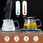 Glass Teapot Tea Pot with Removable Stainless Steel Infuser, 25oz / 760ml Borosilicate Glass Tea Kettle for Office Work, Fine Strainer for Loose Leaf Tea