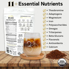 Organic Mushroom Coffee with Cacao – 11x Adaptogenic Mushrooms for Focus, Clarity & Energy – Lion’s Mane, Reishi, Chaga + Nootropic Superfood by OhmYes (7oz) - 99 Servings