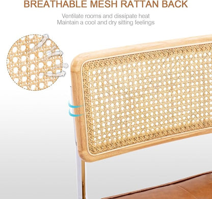Zesthouse Natural Rattan Dining Chairs Set of 2, Modern Dining Room Chairs - Image 5
