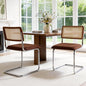 Zesthouse Rattan Dining Chairs Set of 2, Mid Century Modern Dining Room Chairs by Zesthouse