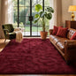 Area Rugs for Living Room, 5x8 Feet Soft Fluffy Shagg Plush Rug High Pile Large by Cuzwlovita
