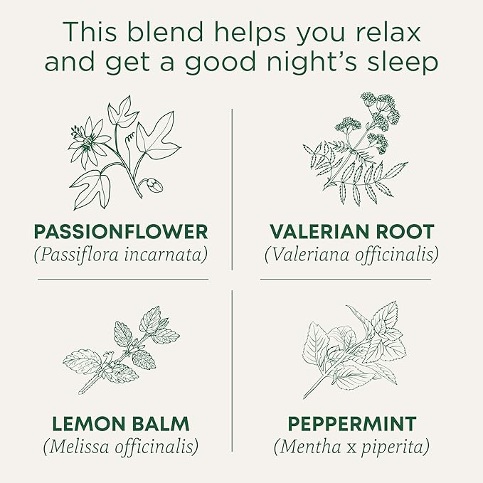 Traditional Medicinals Organic Nighty Night Extra Tea With Valerian Root for Relaxation, 96 Tea Bags (Pack of 6)