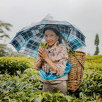 Grace Farms Organic Darjeeling Sunrise Black Tea, 16 Pyramid Sachets | Darjeeling & Orange | Fairtrade & Kosher |Gives Back 100% of Profits