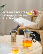 ZENS 17 oz Small Glass Teapot with Infuser, Design Loose Leaf Teapot with Stainless Steel Spout for Hot Tea Steeper, Oval Handle Clear Tea Pot Infusers Loose Tea Maker for Lovers Gifts