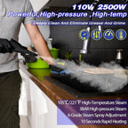 2500W Handheld Steam Cleaner,Portable Car Steamer For Auto Detailing,High-Temperature and Pressure Steam Cleaner For Home, Steam Cleaning Machine for Furniture,Kitchen,Grout,Floor,Tile (Blue)