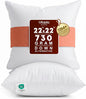 Utopia Bedding 22x22 Pillow Inserts, 2 Pack | Indoor cushion inserts by UTOPIABEDDING