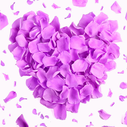 180 PCS Real Purple Rose Petals for Wedding, 1.76oz Dried Flower Petal for Flower Girl to Throw, Romantic Night Shower Party Proposal Centerpiece Table Decor