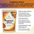 BREWIX, Pumpkin Spice Black Tea Bags (25 Pyramid Bags) | Cozy Fall Blend with Cinnamon, Ginger, Nutmeg & Clove | Caffeinated, Warm & Aromatic | Perfect for Autumn & Halloween