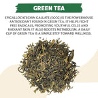 BREWIX, Green Tea Loose Leaf (50+ Cups, 3.53oz/100g) Gluten Free I High Elevation Grown Green Tea Leaves | Pure Single Origin Sourced Direct from India