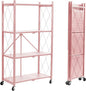 BRIAN & DANY 4-Tier Foldable Storage Shelves by BRIANDANY