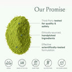SPACE AND TIME Create - Mushroom Matcha Tea - 20 Cups of Creativity, Energy & Enhanced Mood - Organic Matcha Powder with Lions Mane, L-Theanine & Saffron