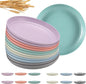 12 Pcs Unbreakable Deep Dessert Plates Set, 8 inch Reusable Plastic Wheat Straw Plates, Microwave and Dishwasher Safe Plate for Kitchen, Lightweight Plate for Dessert, BPA Free, 6 Colors