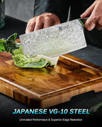 KYOKU Gin Series Vegetable Cleaver Knife, 7" Asian Vegetable Knife, Japanese VG10 Damascus Stainless Steel Knife, Professional Kitchen Knife with Silver Ion Blade G10 Handle Mosaic Pin Sheath & Case