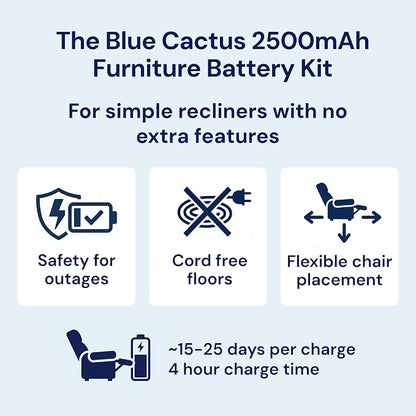 Blue Cactus 2500mAh Rechargeable Battery Pack - Image 2