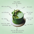 Confect Pea Green Fondant for Cake Decorating | Smooth & Ready-to-Use Icing for Christmas Cakes, Cupcakes & Holiday Treats | Vegan, Gluten-Free, Nut-Free, Palm Oil-Free – 8.8 Oz
