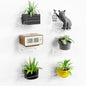 upsimples 6 Pack 6x4 Inches Acrylic Small Shelves, Floating Shelves by upsimples