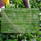 Palais des Thés - Long Jing - Chinese Green Tea - 3.5oz Loose Leaf Metal Gift Tin, Serves 20-25 Cups