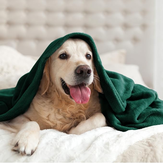 BEDELITE Fleece Blanket Soft Plush Throw - Image 7