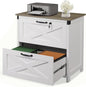 DEVAISE 2 Drawer File Cabinet, Lateral Wood Filing Storage Cabinet by DEVAISE