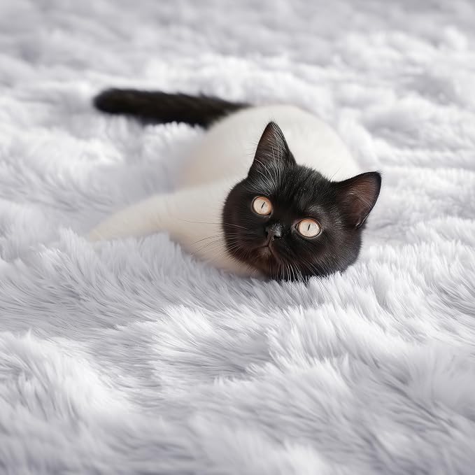 Soft Comfy White Area Rugs for Bedroom Boys Living Room Fluffy Furry Carpet - Image 7