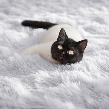 Soft Comfy White Area Rugs for Bedroom Boys Living Room Fluffy Furry Carpet - Image 7