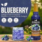 Syruvia Blueberry Syrup For Drinks 25.4 Ounces Blueberry Flavoring Syrup