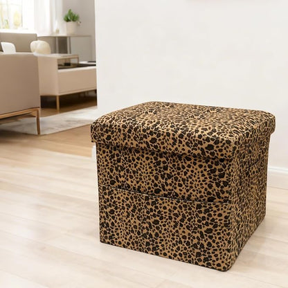 ALASDO Storage Ottoman Footrest Stool Small Ottoman - Image 2