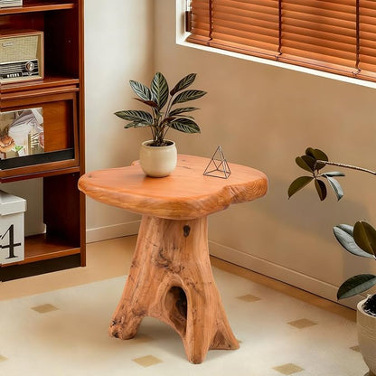 Small Side Table, Freeform Live Edge Wood Stool, Unique Design Natural Plant - Image 5