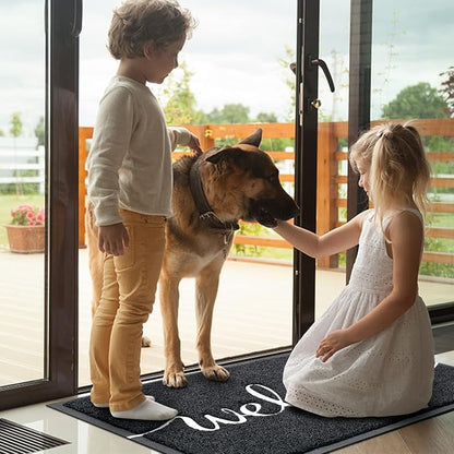 Door Mat Welcome Mat Floor Mat for Entryway, High Traffic Areas | Low Profile - Image 2