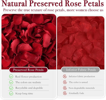 180 PCS Dried Real Red Rose Flower Petals Confetti for Wedding, 1.75oz Preserved Freeze Petals for Romantic Night Wedding Proposal Valentine's Day Centerpeice Decor