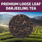 BREWIX, Darjeeling Tea Leaves from Hills of Himalayas (50+ Cups, 3.53oz/100g) | Pure Loose Leaf Darjeeling Black Tea | Long Leaf Grade | Straight From Source In India