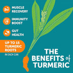 ZYN Turmeric Wellness Drink (6 Pack), Lemon Ginger Flavored Turmeric Curcumin Drink with Black Pepper, No Added Sugar, Low Carb & Low Calorie Drink, Clean Alternative