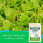 Plantain Leaf Organic (4 oz.) – Broadleaf Plantain Tea Loose Leaf (Plantago Major) – Llanten Planta Medicinal - Herbal Tea for Digestion, Respiratory Health & Detox