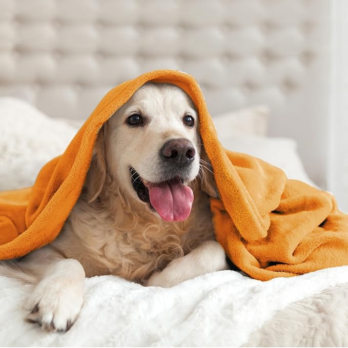 BEDELITE Fleece Blanket Soft Fall Queen Bed Blanket Burnt Orange 90"x90" | - Image 9