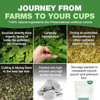 HANDPICK Lemon Balm Tea Bags – 100 Count | 100% Pure Natural Dried Lemon Balm Herb | Caffeine-Free Herbal Tea with Citrus Flavor & Aroma | Round Eco-conscious Teabags