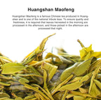 iTeaworld 4 Flavors Tea Samplers of Chinese Green Teas for Beginners,2025 New Tea Chinese Loose Leaf Tea, Included Longjing, Biluochun, Lu'an Guapian & Huangshan Maofeng(2.01oz)