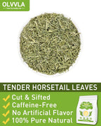 Olvvla - Premium Horsetail Tea Bags - 1.5g X 40 Count - Pure Natural Horsetail Herbal Tea - Caffeine-free - Non-GMO - Dried Horsetail Herb - Rich in Antioxidants & Support Bone Health